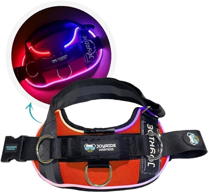 Joyride Harness LED Light Up Dog Harness 2.0 - Patent Pending Design, 3 LED Modes, Vibrant Rechargeable Lighting, Customizable Name Tag Area, and Convenient On/Off Button for Enhanced Pet Safety