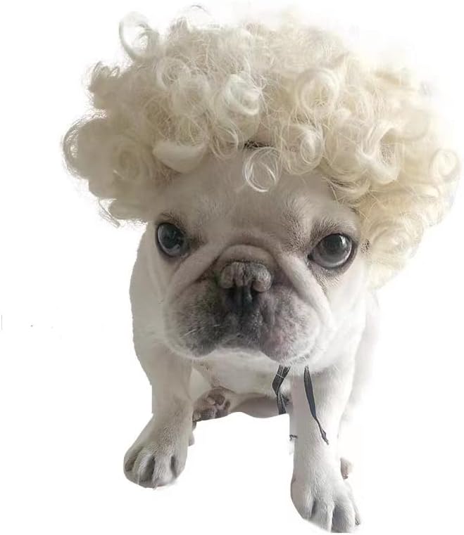 Spa Day Dog Costume Cosplay Wig, Curly Hair Pet Cat Wigs for Halloween Parties Dog Hats Wigs for Small Medium and Large Dogs Adjustable(Pet Head Circumference 6-27 inches)