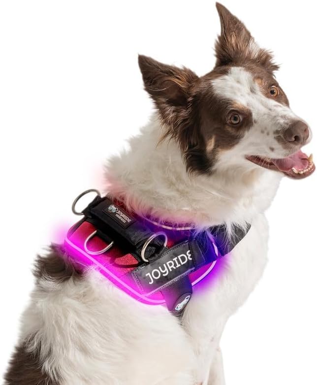 Joyride Harness LED Light Up Dog Harness 2.0 - Patent Pending Design, 3 LED Modes, Vibrant Rechargeable Lighting, Customizable Name Tag Area, and Convenient On/Off Button for Enhanced Pet Safety