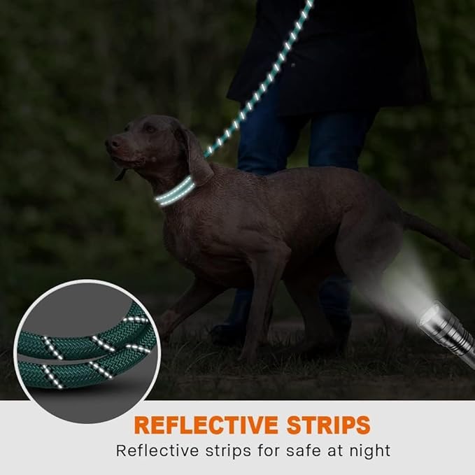 Taglory Rope Dog Leash 5 FT with Comfortable Padded Handle, Highly Reflective Threads Leash for Medium Large Dogs, 1/2 inch, Turquoise