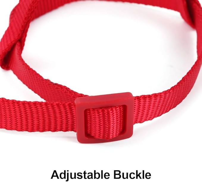 Parrot Harness Leash, Anti Bite Bird Training Leash Adjustable Parrot Flying Rope for Parrot Budgerigar Lovebird Cockatiel