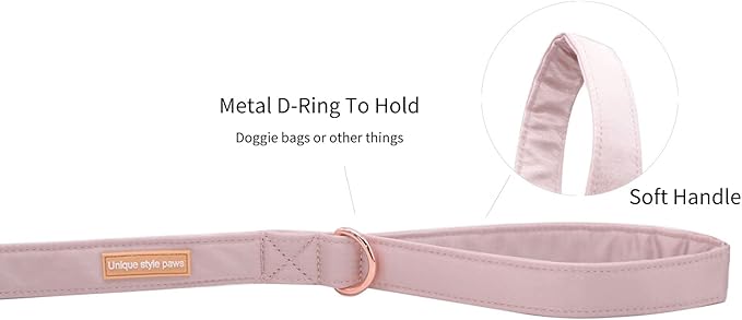 Unique style paws Silk Dog Leash Durable Dog Leashes with Welded D-Ring Comfortable Handle for Small Medium Large Dogs Z-Princess