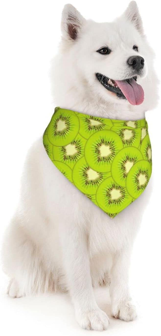Kiwi Fruit Texture Dog Bandana Scarf Triangle Bibs Pet Accessories Cat Kerchief