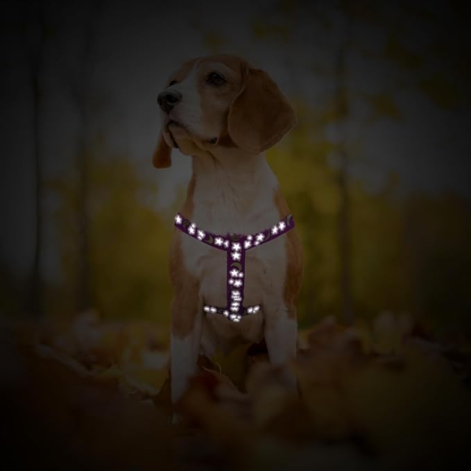 PUPTECK No Pull Dog Harness Soft Adjustable Basic Nylon Step in Puppy Vest Outdoor Walking with ID Tag, Moon Star Purple, S