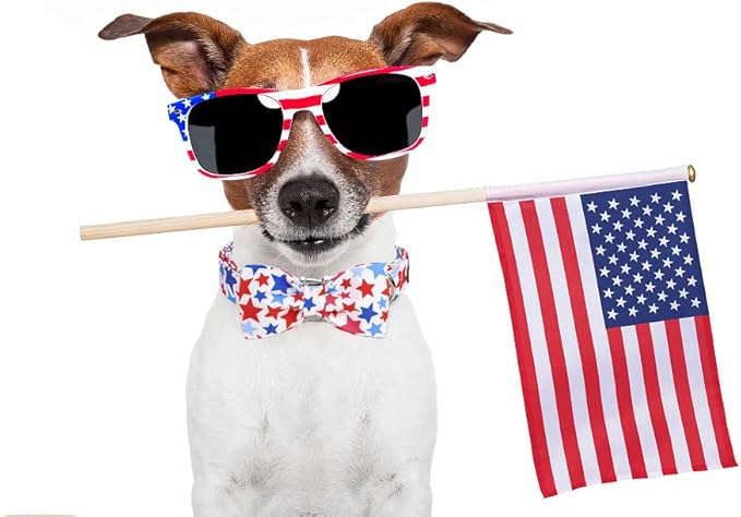 ARING PET American Flag Dog Collar, Cute Bowtie Dog Collars with Metal Buckle, Red White Blue Star Pet Collar Bow Tie for Small Meduim Large Dogs