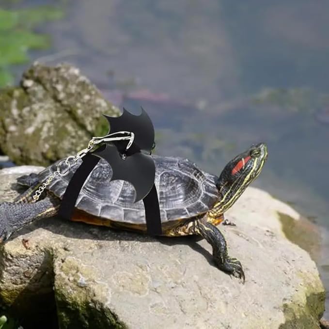Turtle Harness and Leash with Wings- Harness Strap Chest Collar Adjustable Rope Walking for Turtle Reptile(Black S
