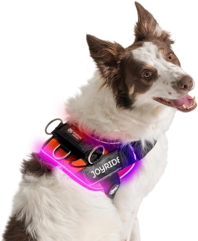 Joyride Harness LED Light Up Dog Harness 2.0 - Patent Pending Design, 3 LED Modes, Vibrant Rechargeable Lighting, Customizable Name Tag Area, and Convenient On/Off Button for Enhanced Pet Safety