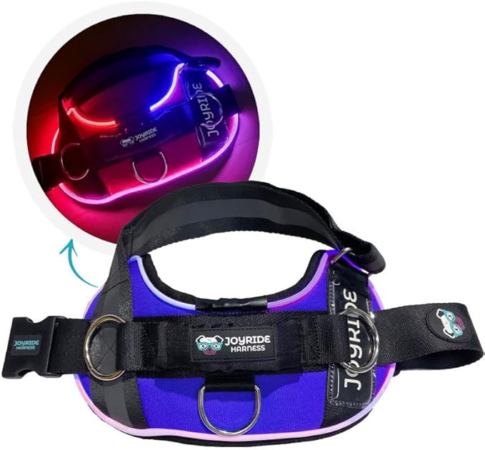 Joyride Harness LED Light Up Dog Harness 2.0 - Patent Pending Design, 3 LED Modes, Vibrant Rechargeable Lighting, Customizable Name Tag Area, and Convenient On/Off Button for Enhanced Pet Safety