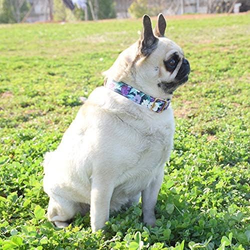 Metal Buckle Dog Collar, Durable Adjustable Dog Collar Soft for Small Medium Large Dogs