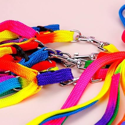 Hypeety Pet Bird Harness and Leash with Buckle Adorable Rainbow Design Safe Parrot Leash Pet Harness Outdoor Adjustable Anti Bite Training Rope for Macaw Large Size Bird (1cm × 47.24in)