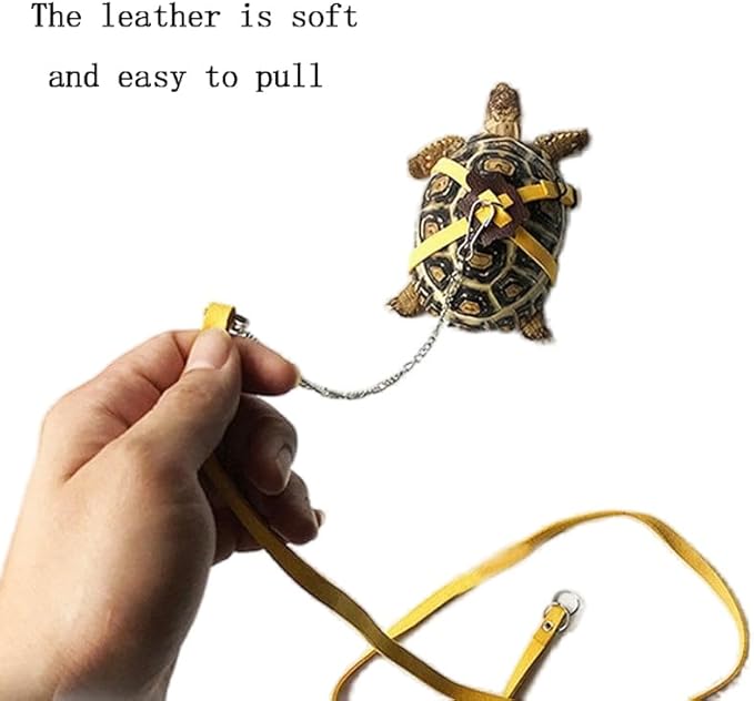 Tortoise Leash, Adjustable Control Rope Turtle Leash and Harness Pet Walking Rope for Small Medium and Large Turtle Pets Outdoor Walking Training Supplies,Black S