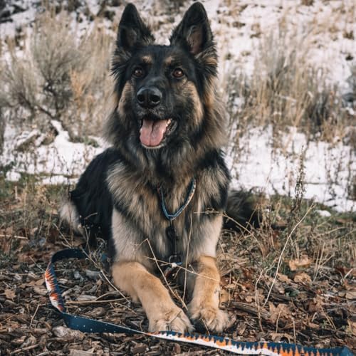 Wolfgang Heavy Duty Martingale Dog Collar with Quick Release Nylon Buckle for Walking & Training, Overland Print, Medium