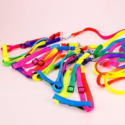 Hypeety Pet Bird Harness and Leash with Buckle Adorable Rainbow Design Safe Parrot Leash Pet Harness Outdoor Adjustable Anti Bite Training Rope for Macaw Large Size Bird (1.5cm × 47.24in)