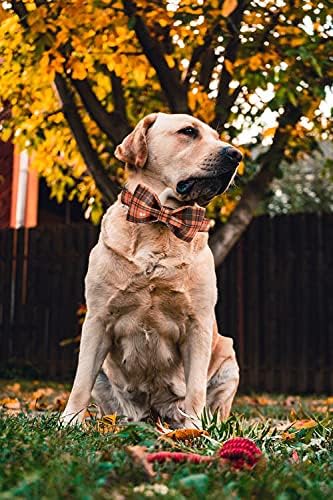 Lionheart glory Halloween Holiday Dog Collar Adjustable Soft Dog Collar with Bowtie, Pet Gift Dog Collars Bow for Small Medium Large Dogs