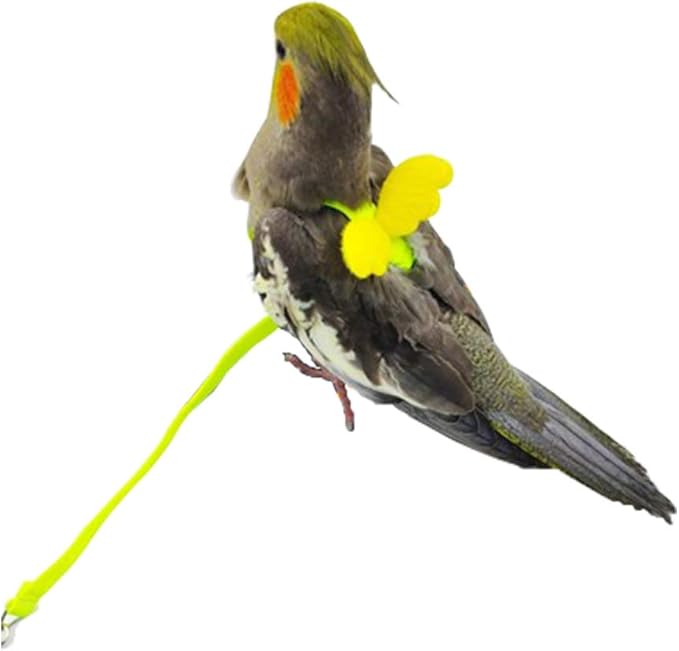 Adjustable Bird Harness Leash Parrot Flying Rope Straps Outdoor Training Traction Rope for Small Parrots , Random Color