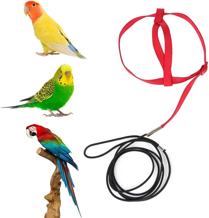 Parrot Harness Leash, Anti Bite Bird Training Leash Adjustable Parrot Flying Rope for Parrot Budgerigar Lovebird Cockatiel