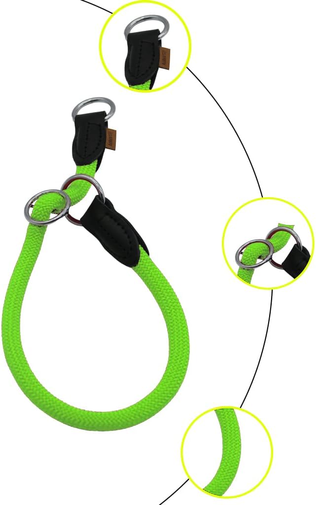 Braided Round Martingale Dog Collar, Training Collar with Slidable Stop Ring - Ideal for Small Medium Dogs (M- (1/3") - 18" Long, Light Green)