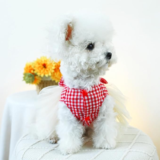 Plaid Small Dog Dress with Leash Ring Valentines Cat Outfit Dog Tutu Princess Holiday Puppy Clothes with Bow Knot and Heart Pet Apparel for Kitten Chihuahua Yorkie (Red, X-Large)