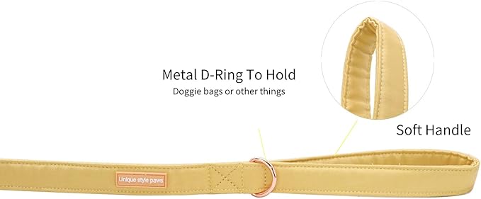 Unique style paws Silk Dog Leash Durable Dog Leashes with Welded D-Ring Comfortable Handle for Small Medium Large Dogs