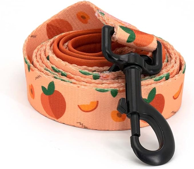 Dog Harness and Leash Set, Adjustable Dog Harness, Dog Leash, No Pull No Choke Puppy Harnesses for Walking Training for Small, Medium, Large Pet