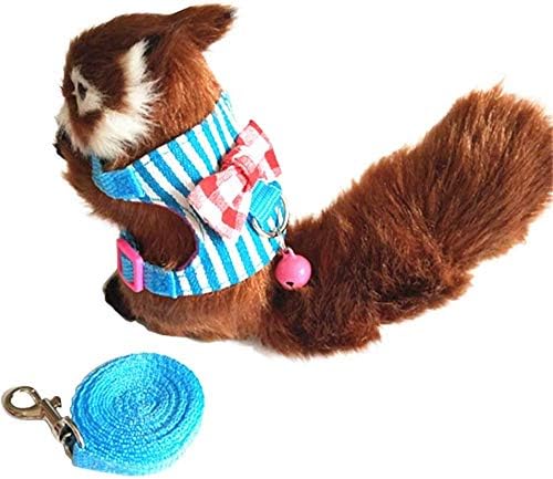 Litewoo Hamster Outdoor Walking Vest Harness and Leash Set Cute Bow-knot and Clear Bell Decor Chest Strap Harness for Rabbit Guinea Pig Chinchilla Ferret Squirrel Marten Kitten (SMALL,Blue Stripe)