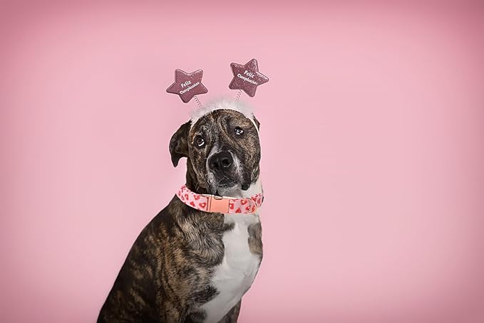 Lionet Paws Valentine Dog Collar, Heavy-Duty Cute Red Heart Pattern Collar with Metal Buckle Pet for Small Medium Dogs, Neck 13.5-22 inches