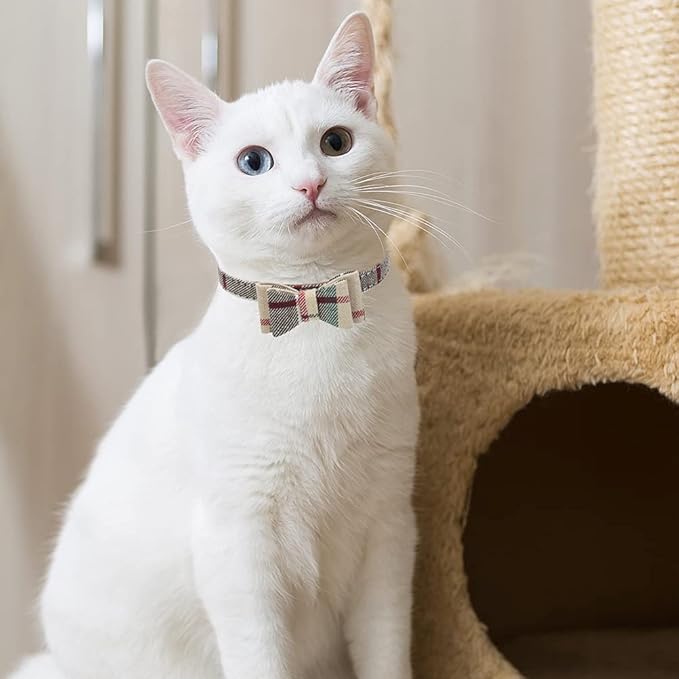 EXPAWLORER Dog Collar and Leash Set - Plaid Dog Collar with Pawprints and Bow Tie, Cat-Friendly, Beige S-M