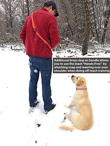 Regal Dog Products Small Orange Waterproof Dog Collar and Leash Set | Heavy Duty Double Buckle & D Ring - 5'ft Leash | Adjustable Biothane Dog Collar | Chew Resistant Waterproof Collar for Dogs