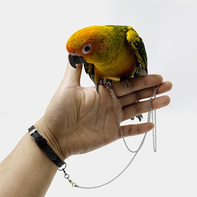 Bird Foot Chain Flying Stainless Steel Training Rope with Leather Wrist Strap Outdoor Parrot Ankle Foot Ring Accessories Bird Harness Leash Prevent Escaping (Model 7 Set)