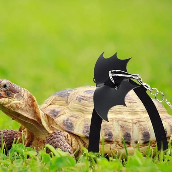 Turtle Harness and Leash with Wings- Harness Strap Chest Collar Adjustable Rope Walking for Turtle Reptile(Black S