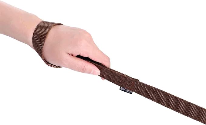 AMAGOOD 6 FT Dog Leashes, Strong and Durable Traditional Style Leash with Easy to Use Collar Hook,Dog Leads Great for Small and Medium and Large Dogs (1" x 6 ft,Brown(Pack of 2))