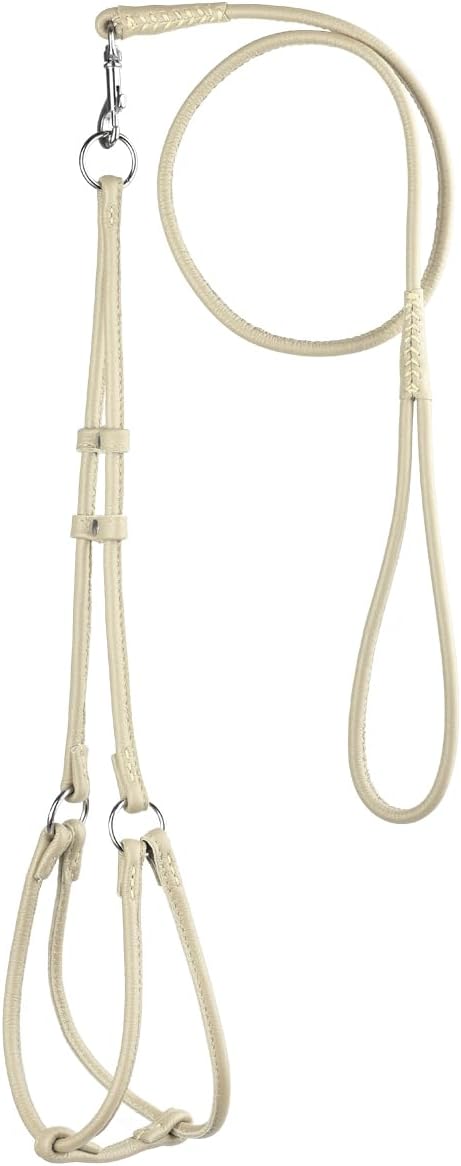 Dogline Soft and Padded Round Rolled Leather Step-in Harness with 11 to 15 Inches Chest and 3-Feet Leash, Beige