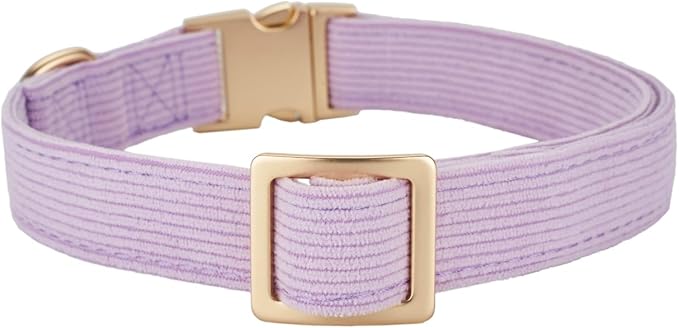 Soft Corduroy Dog Collar and Leash Set, Adjustable Cotton Dog Collars with Metal Buckle and Lead for Small Dogs,Lilac