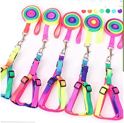 Hypeety Pet Bird Harness and Leash with Buckle Adorable Rainbow Design Safe Parrot Leash Pet Harness Outdoor Adjustable Anti Bite Training Rope for Macaw Large Size Bird (1cm × 47.24in)