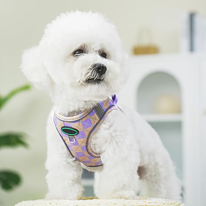 Step in Dog Harness and Leash Set, Plaid Adjustable Easy Walk Puppy Harnesses, Soft Mesh Pet Vest Harness Small Size Dog Adjustable No Pull Dog Harness for Small Medium Dogs(Yellow Purple, XS)