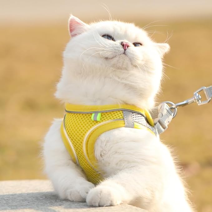Cat Harness and Leash Set Soft Adjustable Escape Proof Cat Leash Breathable Comfortable Vest Easy to Wear Kitten/Small Dogs Harness for Outdoor Walking Yellow XS
