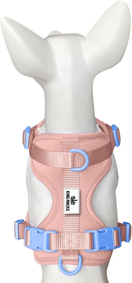 King Macks Dog Harness Set with Collar and Leash, Waste Bag Holder and Dirty Waste Bag Clip, Adjustable for Small/Medium/Large Dogs, Lightweight (Pink Sands with Blue, Large)