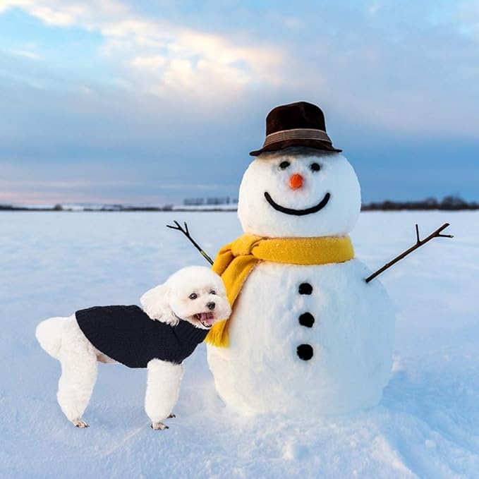 Mihachi Turtleneck Dog Sweater - Winter Coat Apparel Classic Cable Knit Clothes with Leash Hole for Cold Weather, Ideal Gift for Pet in New Year X-Small