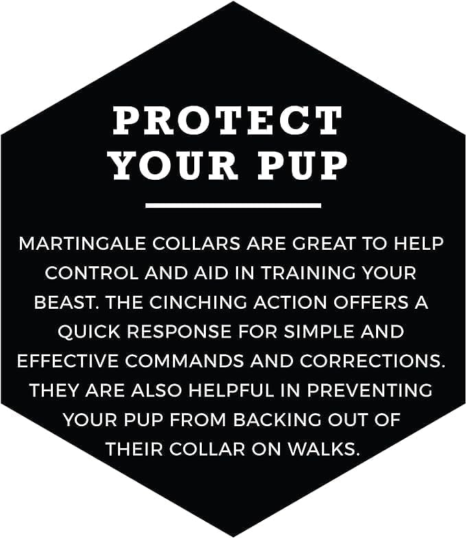 Wolfgang Heavy Duty Martingale Dog Collar with Quick Release Nylon Buckle for Walking & Training, LazyDaisy Print, Large