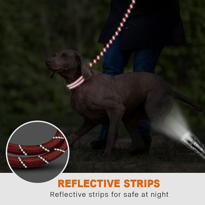 Taglory Rope Dog Leash 5 FT with Comfortable Padded Handle, Highly Reflective Threads Leash for Medium Large Dogs, 1/2 inch, Red