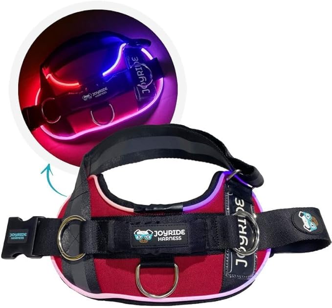 Joyride Harness LED Light Up Dog Harness 2.0 - Patent Pending Design, 3 LED Modes, Vibrant Rechargeable Lighting, Customizable Name Tag Area, and Convenient On/Off Button for Enhanced Pet Safety