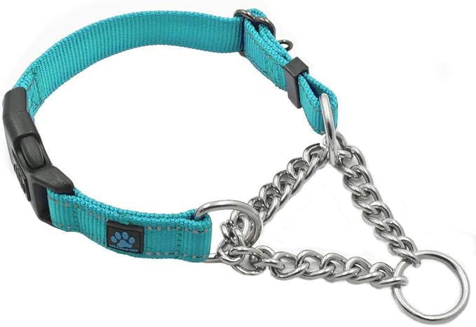 Max and Neo Stainless Steel Chain Martingale Collar - We Donate a Collar to a Dog Rescue for Every Collar Sold (Small, Teal)