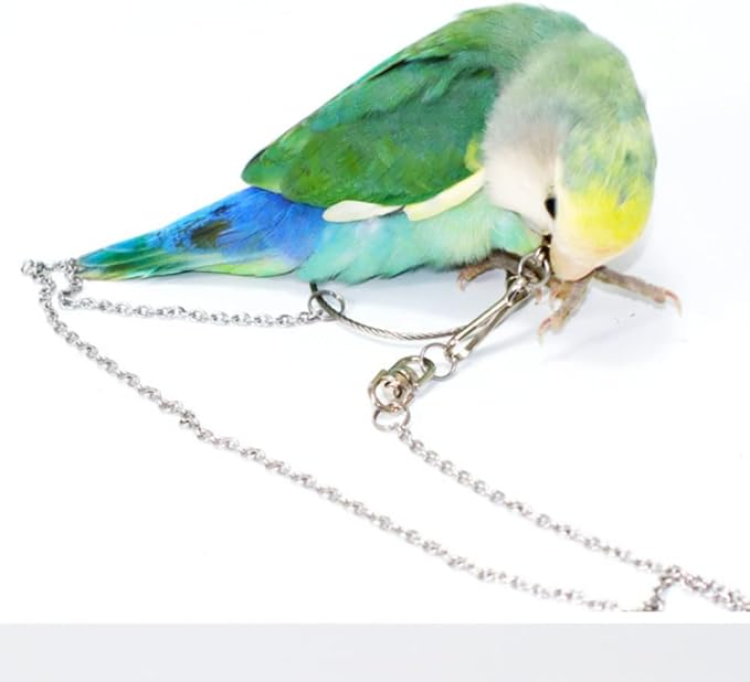 Bird Foot Chain Flying Stainless Steel Training Rope Outdoor Parrot Ankle Foot Ring Accessories Bird Harness Leash Prevent Escaping (8#)