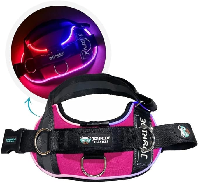 Joyride Harness LED Light Up Dog Harness 2.0 - Patent Pending Design, 3 LED Modes, Vibrant Rechargeable Lighting, Customizable Name Tag Area, and Convenient On/Off Button for Enhanced Pet Safety