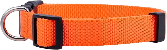 Native Pup Basic Nylon Dog Collar, Adjustable for Small, Medium, Large pet and Puppies Accessories, Cute Colors for Male, Female, boy, Girl, Puppy (Large, Orange)