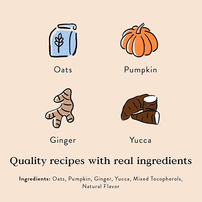 Bocce's Bakery Belly Daily Support Treats for Dogs, Wheat-Free Dog Treats, Made with Real Ingredients, Baked in The USA, Supports Digestive Health, All-Natural Pumpkin & Ginger Biscuits, 12 oz