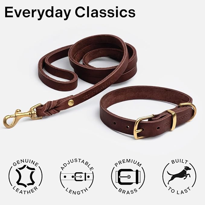 Scout Supply Classic Leather Dog Collar | Heavy Duty Thick Full Grain Leather | Waterproof & Rust-Proof Brass Hardware (Dark Brown, Extra Large)