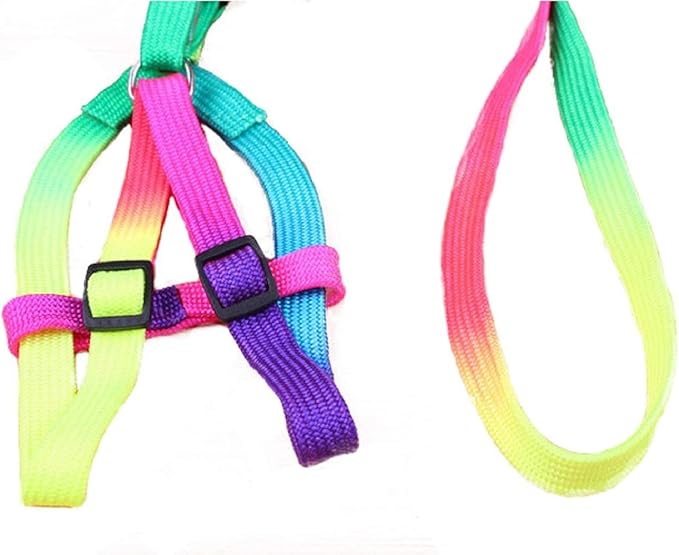 Hypeety Pet Bird Harness and Leash with Buckle Adorable Rainbow Design Safe Parrot Leash Pet Harness Outdoor Adjustable Anti Bite Training Rope for Macaw Large Size Bird (1cm × 47.24in)
