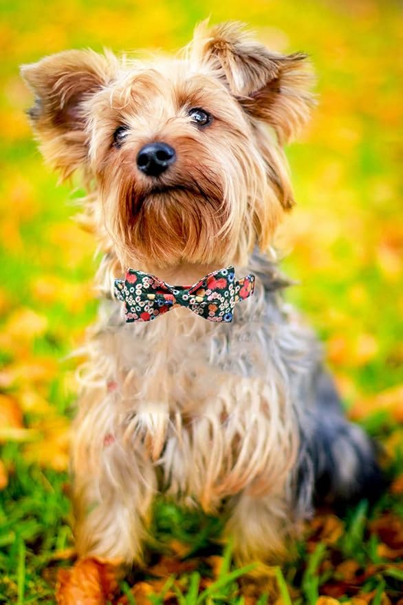 Lionheart glory Floral Print Dog Collar Adjustable Soft Dog Collar with Bowtie, Girl Pet Collars for X-Small Small Medium Large Dogs