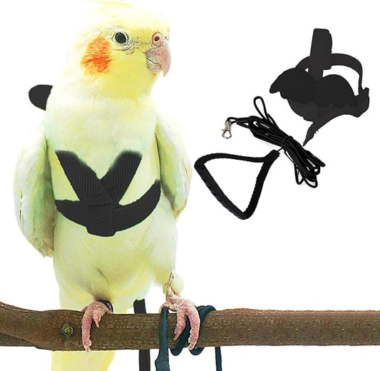 Cockatiel Harness and Leash, Adjustable Parrot Bird Training Design Anti-Bite, Bird Nylon Rope with Cute Wing for Cockatiel and Same Size Birds (L, Black)